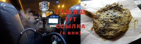 индика Абаза