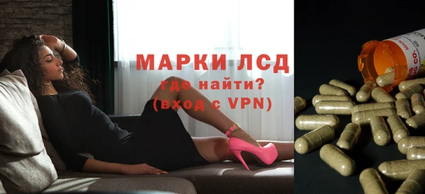 индика Абаза