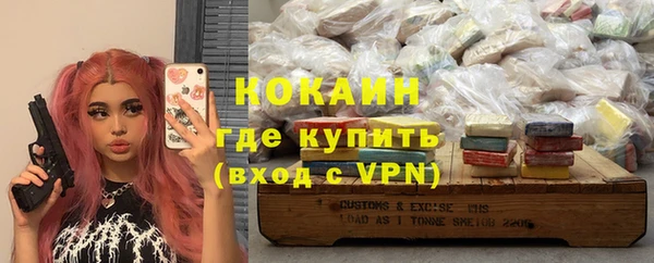 индика Абаза