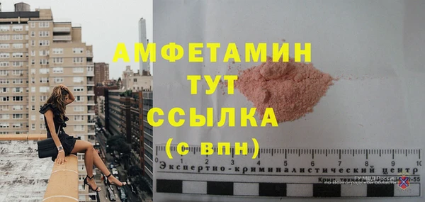 индика Абаза
