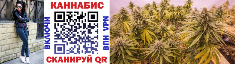 Конопля Ganja Нестеровская